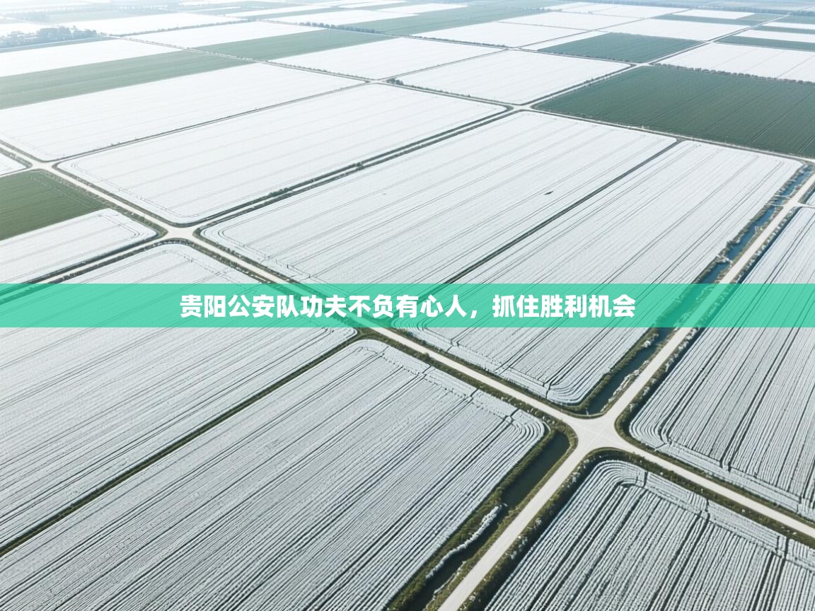 贵阳公安队功夫不负有心人，抓住胜利机会