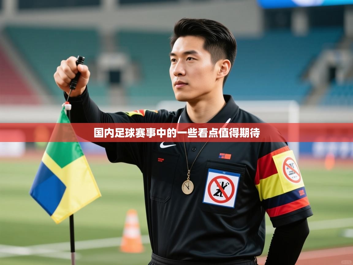 国内足球赛事中的一些看点值得期待 第2张